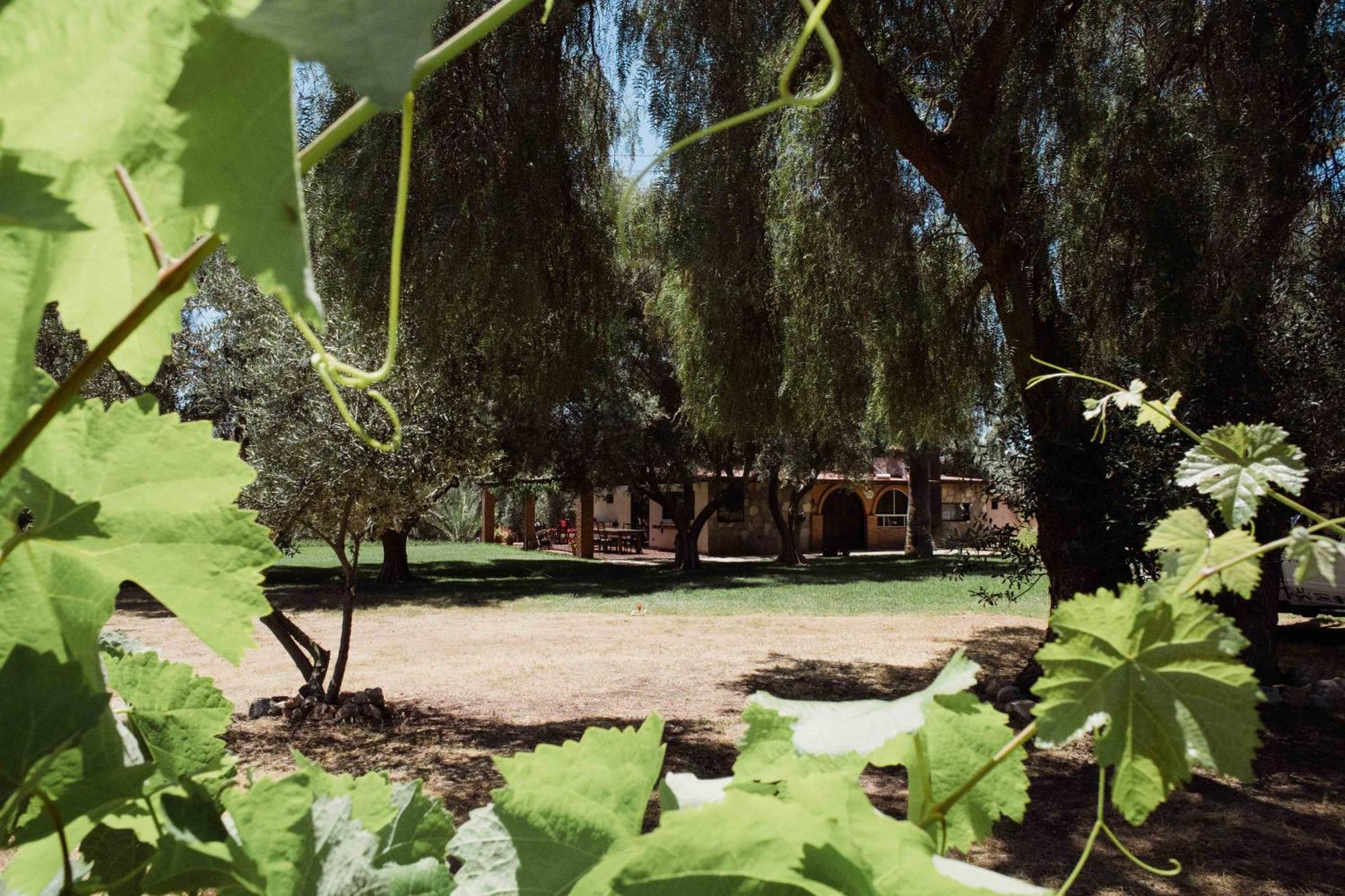 Rancho Toros Pintos Villa Valle de Guadalupe Oda fotoğraf